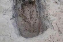 Cristina Amaral e o marido foram torturados e mortos por um gang juvenil