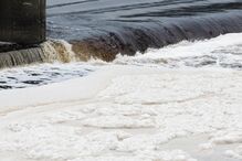 Poluição no Tejo é “problema agudo”