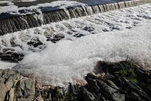 Poluição no Tejo é “problema agudo”