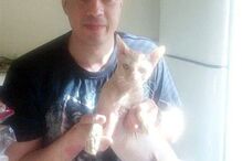 Russo matou o gato da ex-namorada