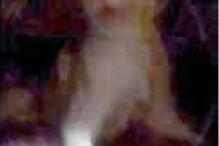 Russo matou o gato da ex-namorada