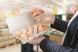 Ovos devem ser bem cozinhados, sobretudo a gema. Ovos pasteurizados são a solução para diminuir o risco de infeções 