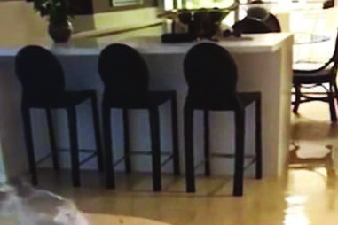 Efeito causado pelo vento forte