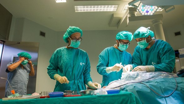 Implantes cocleares colocados em mais de mil surdos profundos