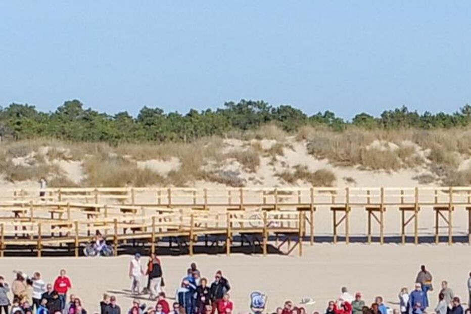 Populares salvam baleia que encalhou em Monte Gordo