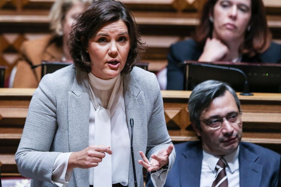 Assunção Cristas,  Parlamento