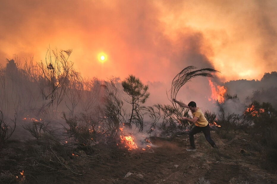 Fogos que assolaram Portugal em 2017 provocaram a morte de 115 pessoas