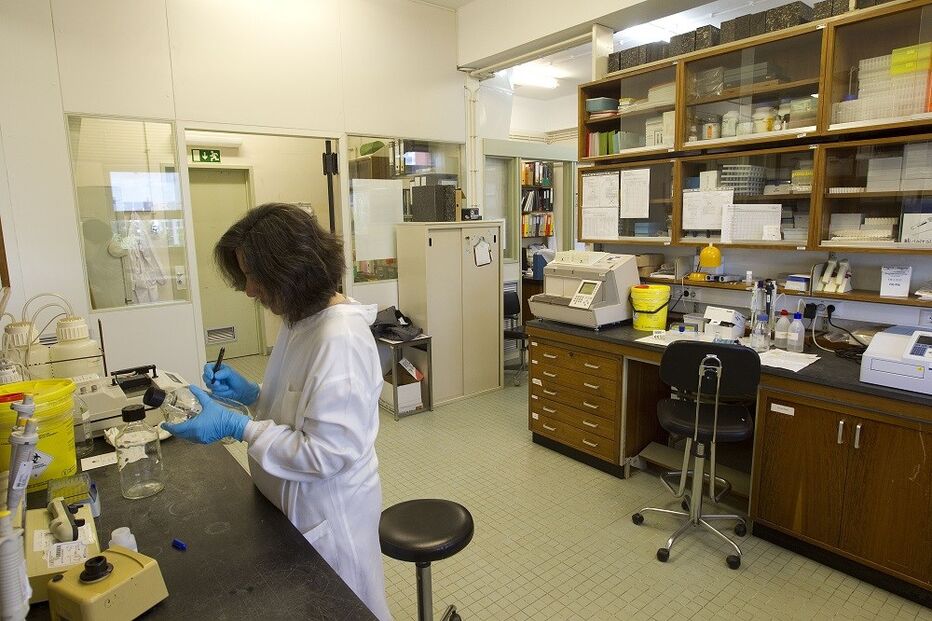 Entidade reguladora não encontra justificações para disparidade de preços