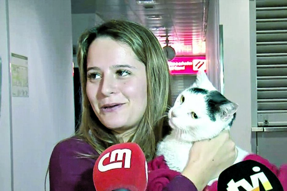 Sandra reencontrou o seu gato   
