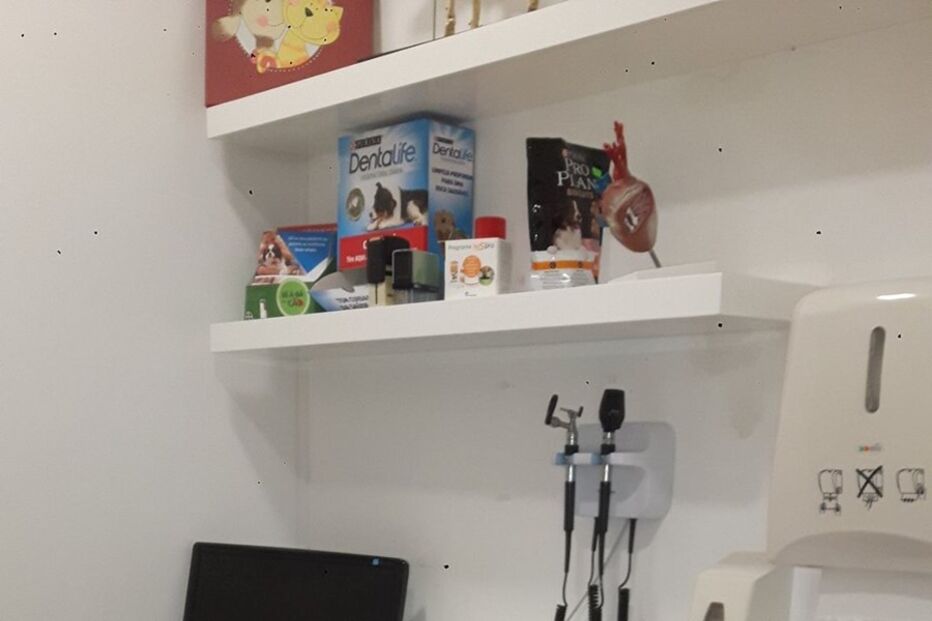 Animal abandonado em Soure está a ser tratado