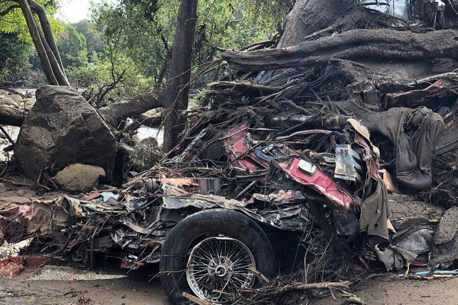 Lama mata na Califórnia 