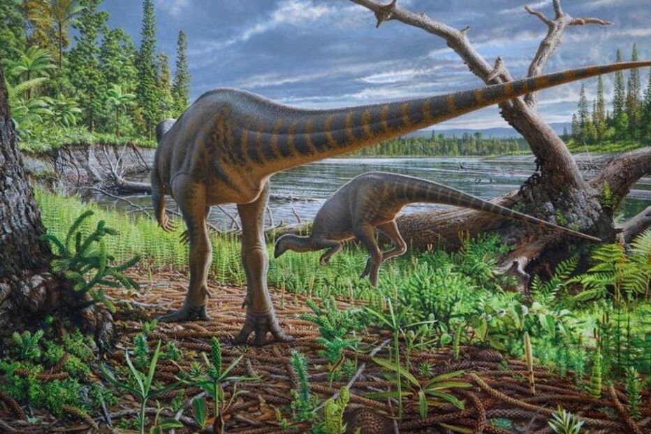Dinossauro herbívoro