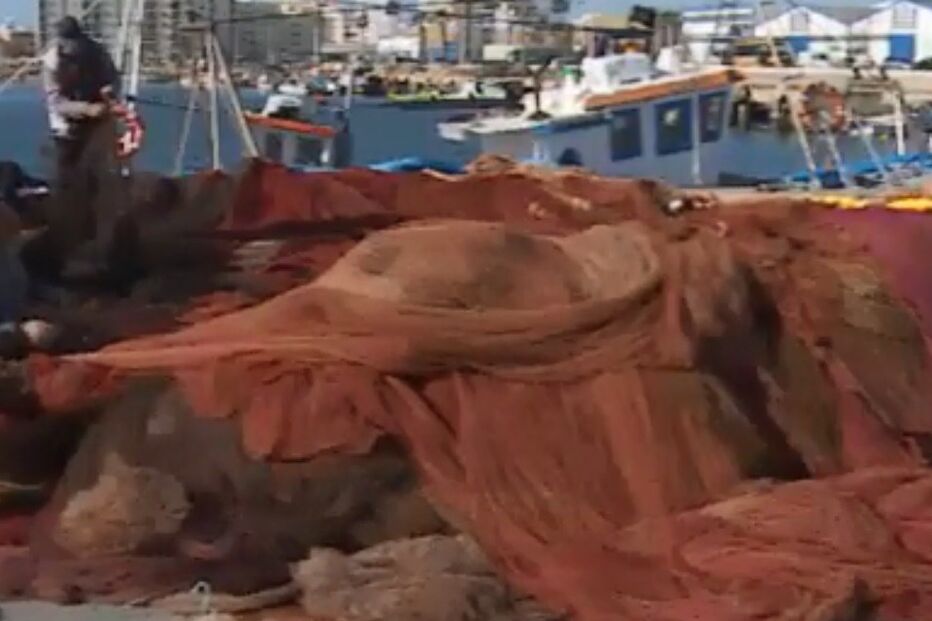 Pesca da sardinha em Olhão