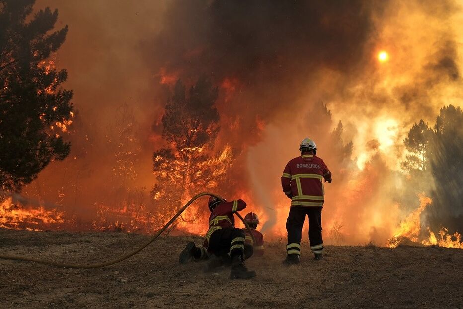 Incêndio só não tomou maiores proporções, junto a uma zona industrial, devido à rápida intervenção dos bombeiros