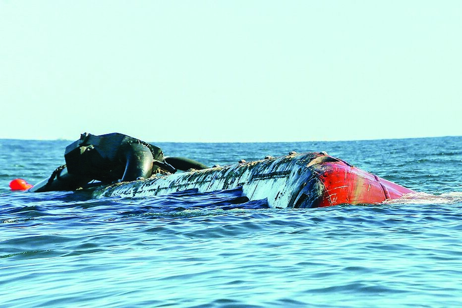 draga, mar, barra, algarve, trabalhadores, Armona, olhão    