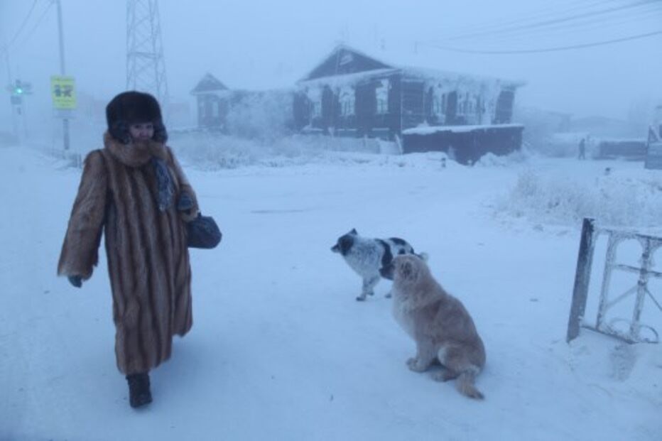 2018-01-18_09_12.45 496496007.jpg