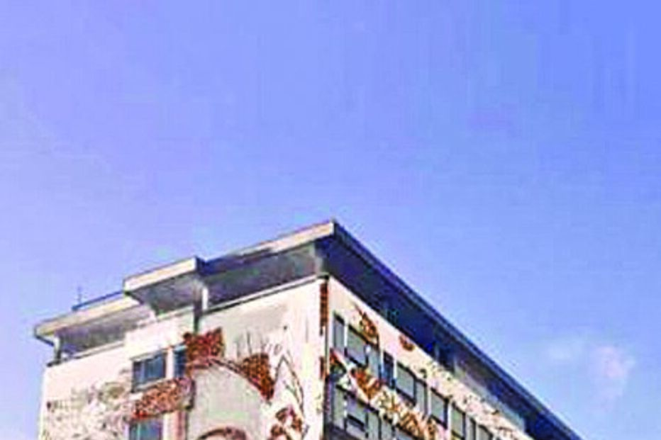 Vhils, Porto, arte, obra, Agostinho Ricca