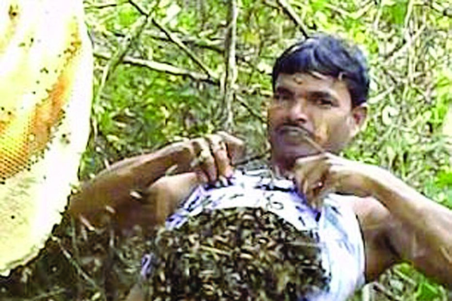 índia, homem-abelha, abelhas