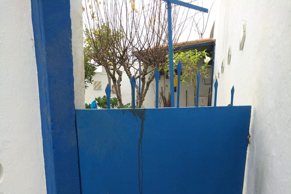 Cão morre preso em gradeamento