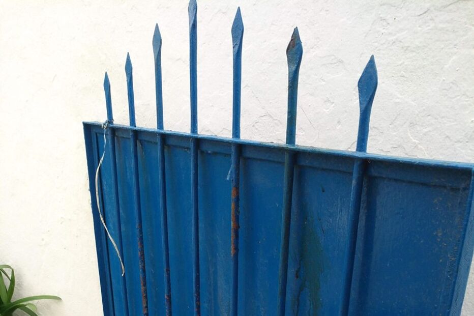 Cão morre preso em gradeamento