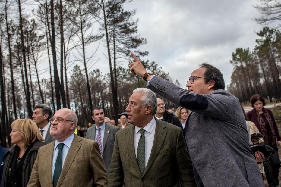 António Costa chama todos para reflorestar