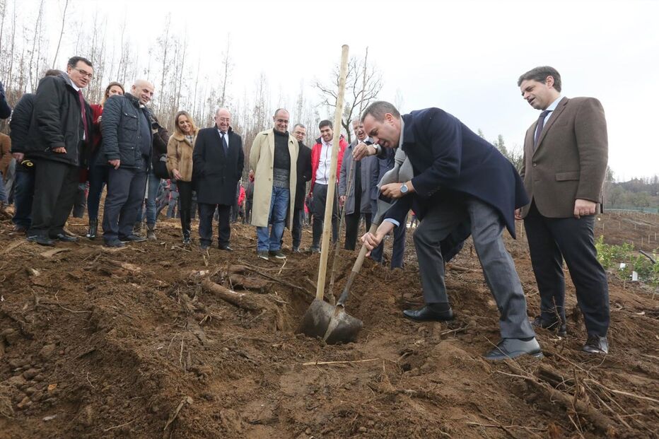 Presidente do Sp. Braga mostrou-se bem-humorado no momento em que plantava uma árvore