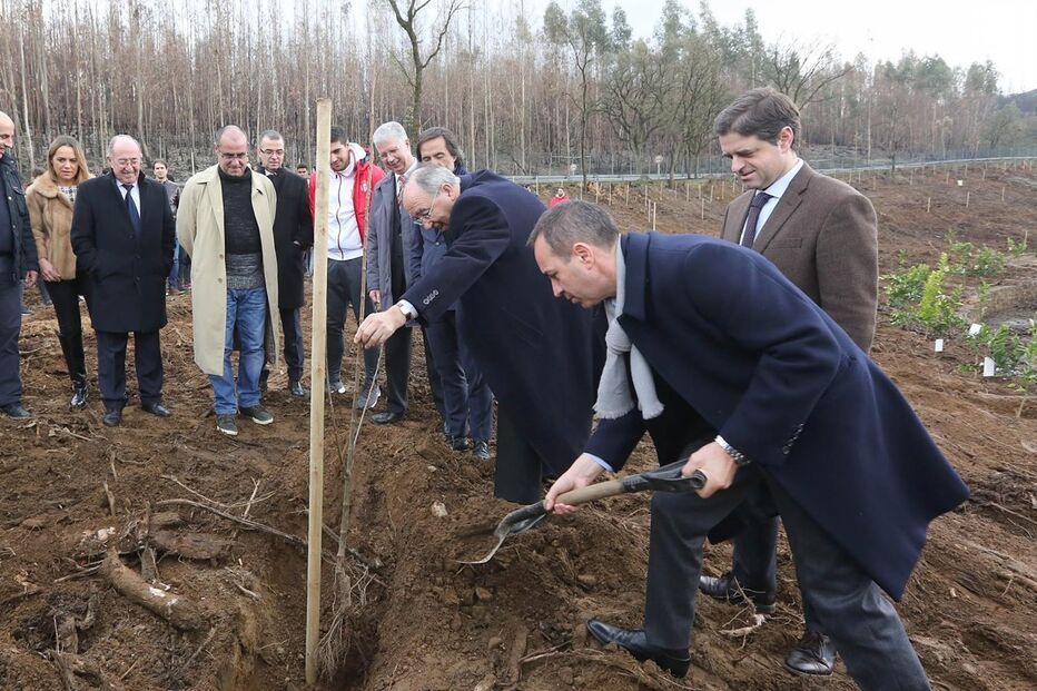 Presidente do Sp. Braga mostrou-se bem-humorado no momento em que plantava uma árvore