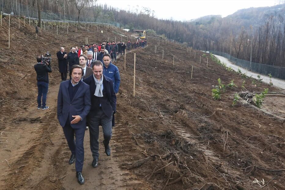 Presidente do Sp. Braga mostrou-se bem-humorado no momento em que plantava uma árvore