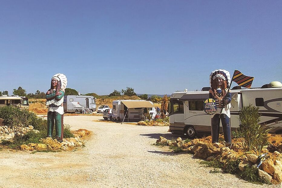 cães, turistas, envenenados, veneno, morte, animais