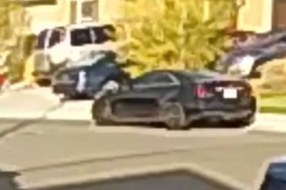 O regate da família Turpin