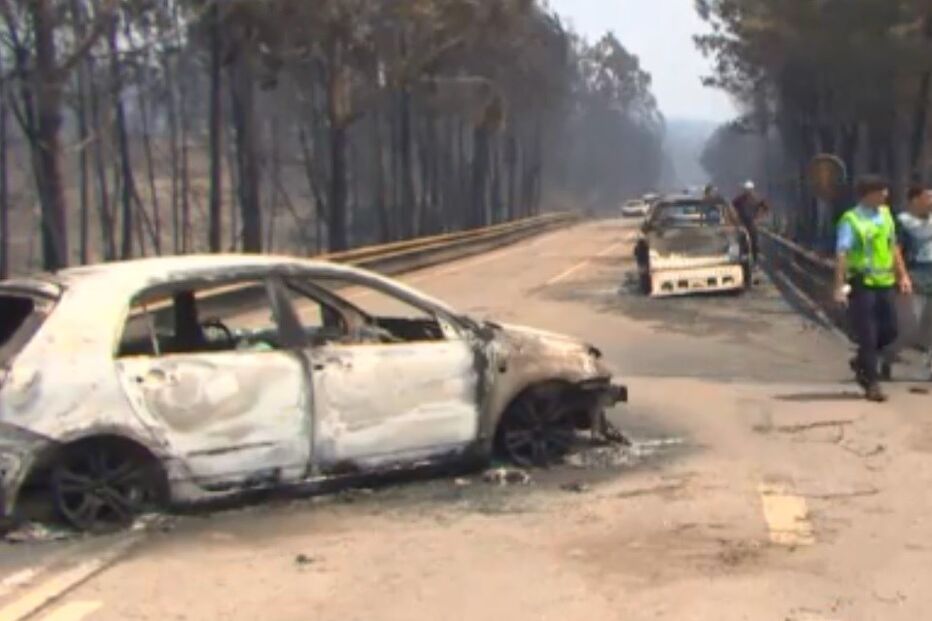 Provedora de Justiça enviou 75 ordens de pagamento de indemnizações pelos fogos