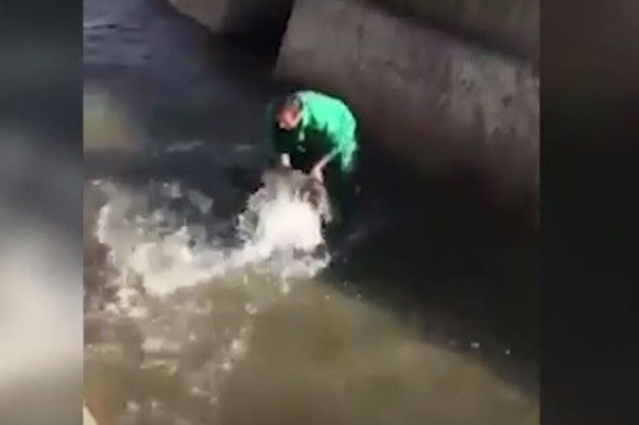 2018-01-24_00_38.17 Untitled.jpg