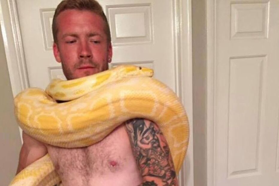 Dan tinha 10 cobras de estimação