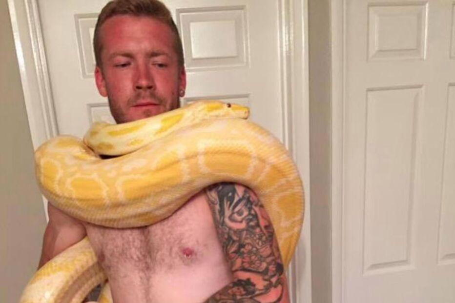 Dan tinha 10 cobras de estimação