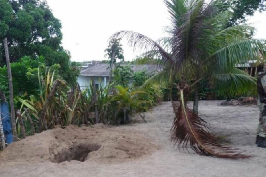 Cristina Amaral e o marido foram torturados e mortos por um gang juvenil