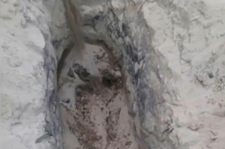 Cristina Amaral e o marido foram torturados e mortos por um gang juvenil