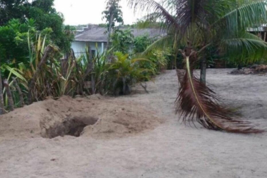 Cristina Amaral e o marido foram torturados e mortos por um gang juvenil