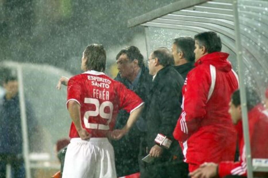 Miklós Fehér, jogador, benfica, morte, 2004, guimarães