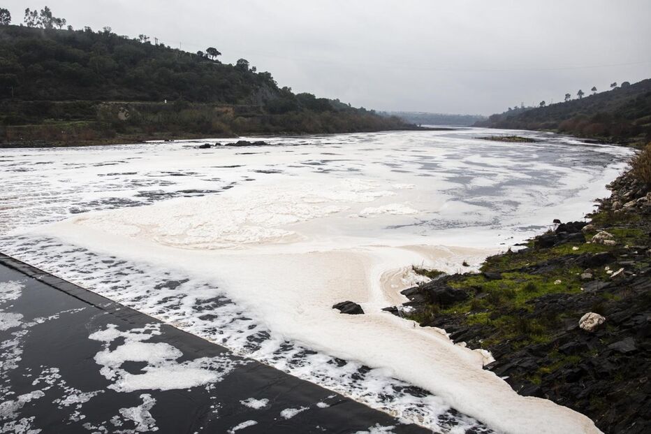 Poluição no Tejo é “problema agudo”