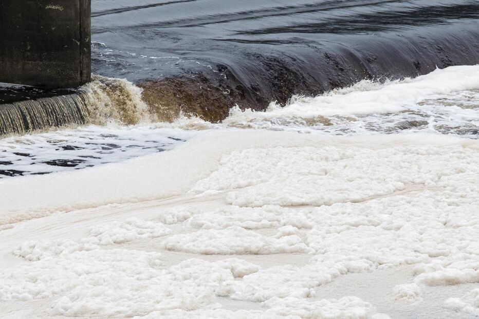 Poluição no Tejo é “problema agudo”