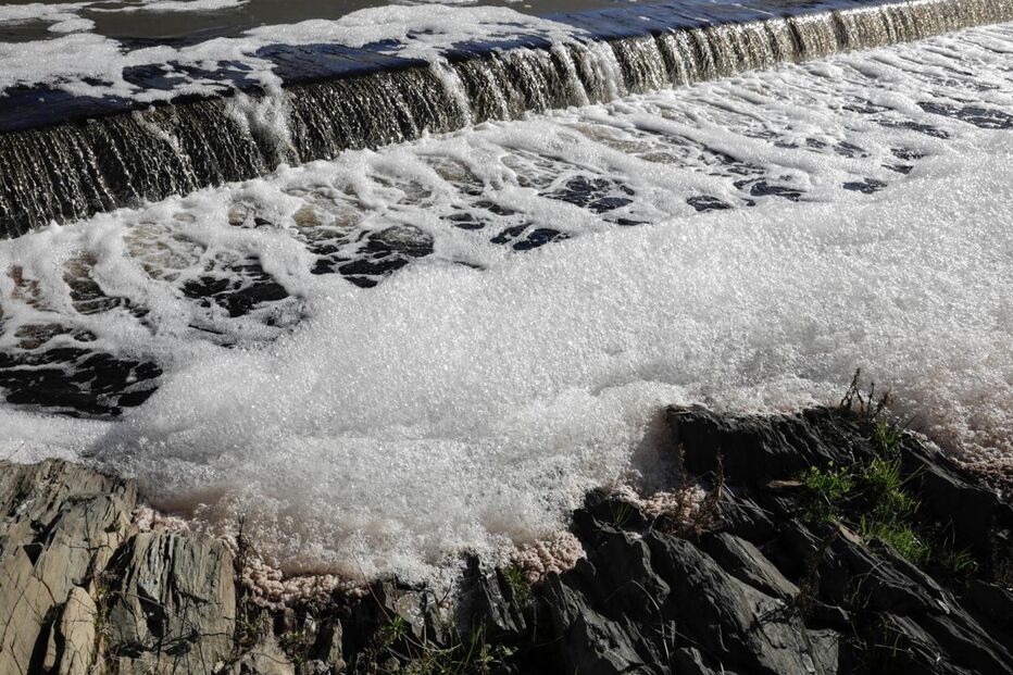 Poluição no Tejo é “problema agudo”