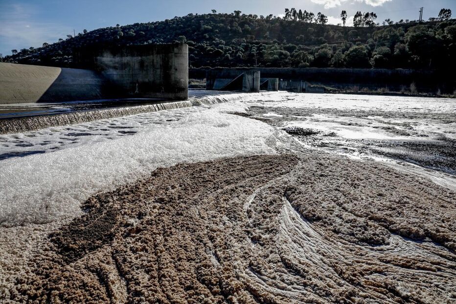 Poluição no Tejo é “problema agudo”