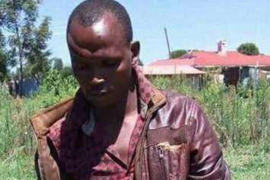 Viola duas galinhas até à morte