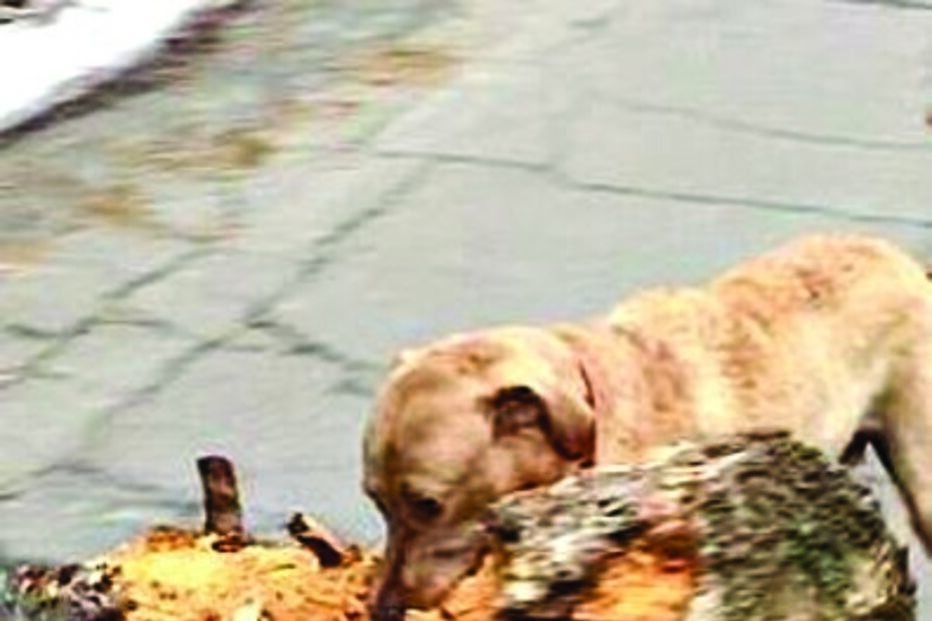 2018-01-28_21_19.21 ml1.jpg