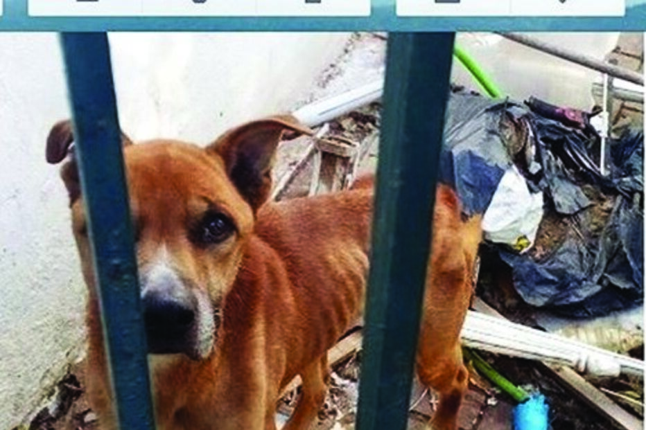 2018-01-29_01_39.44 algarve2.jpg