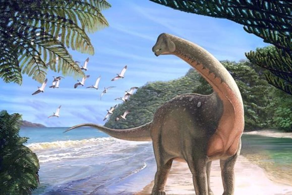 Mansourasaurus shahinae