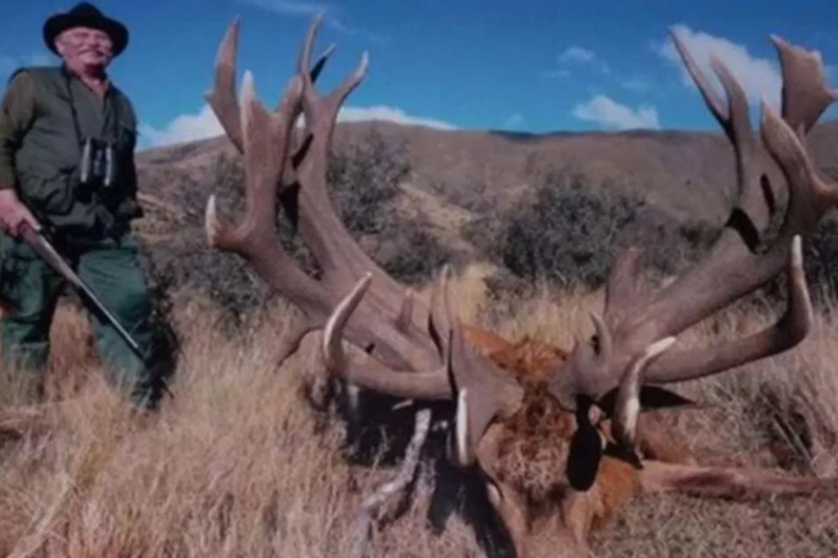 2018-01-31_15_31.12 caçador1.PNG