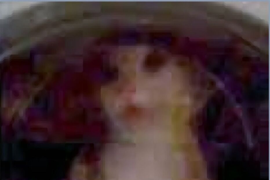 Russo matou o gato da ex-namorada