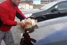 Homem foi filmado a usar gato para lavar o carro