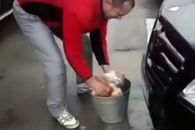 Homem foi filmado a usar gato para lavar o carro